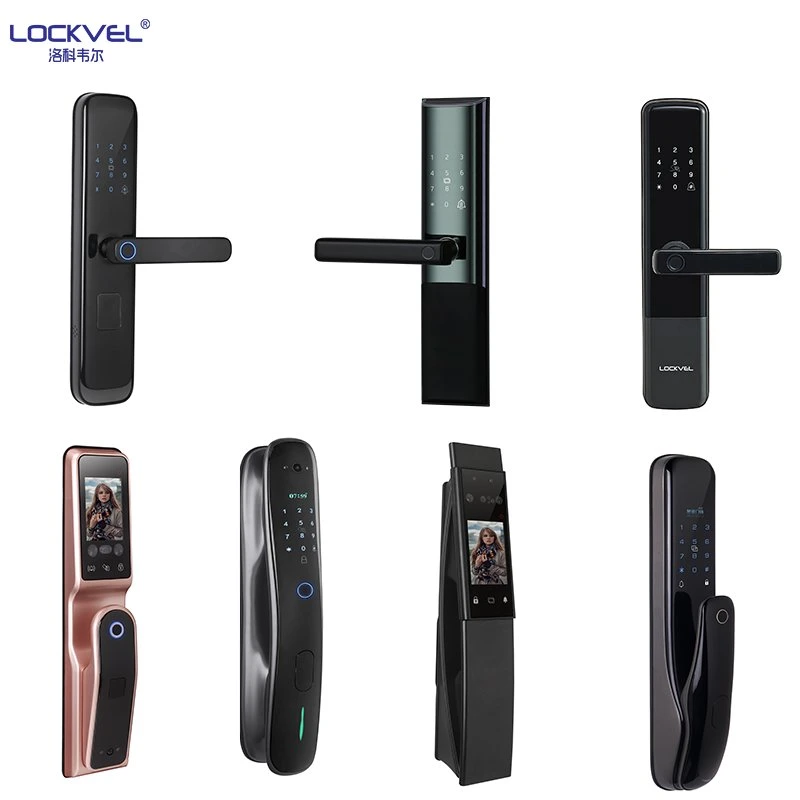 Full Automatic Smart Door Lock with Electronic Cat Eye, 3D Face Recognition