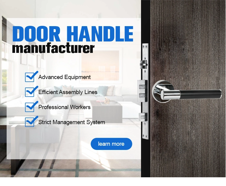 High Quality Durable Using Various Lock Polished Vintage Interior Door Handles