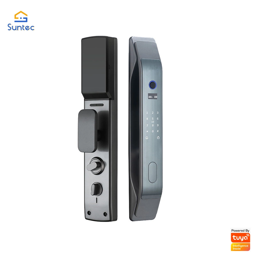 Best Price Tuya System Control Electronic Locks Smart Door Lock