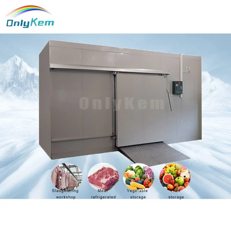 Basic Customization Freezer Room Kits Blast Freezercold Room