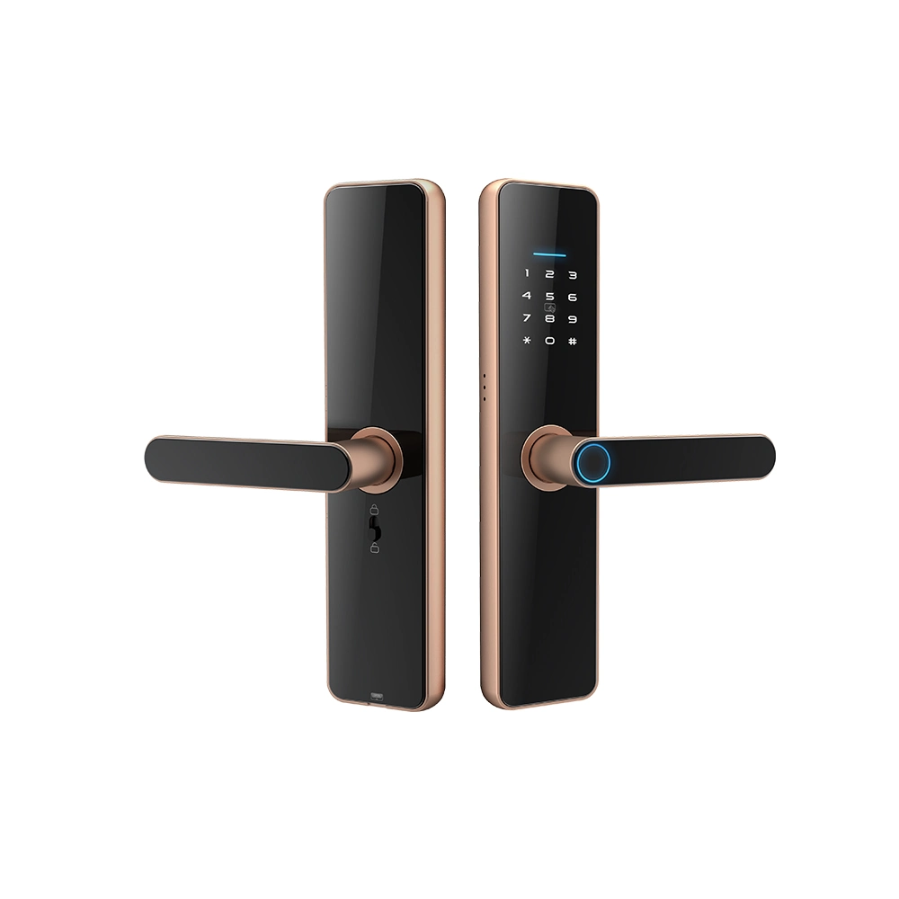 Tuay Wireless Fingerprint Door Lock Smart APP Biometric Fingerprint Door Lock Waterproof Outdoor Entrance Door Lock