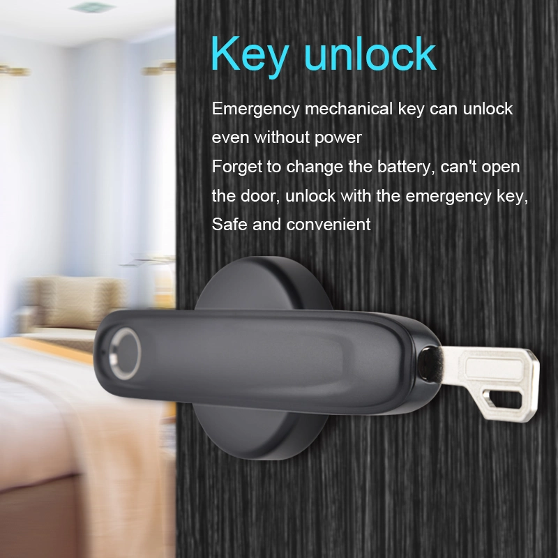 Digital Fingerprint Heavy Lever Door Lock Home Smart Lock