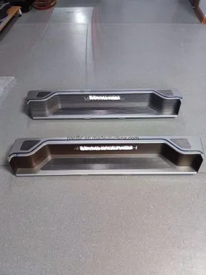 Customized Logo and Illuminated Step for Metris Conversion