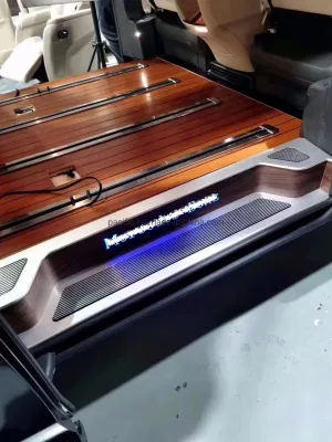 Customized Logo and Illuminated Step for Metris Conversion