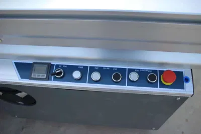 Woodworking Industrial Wood Cutting Sliding Table Panel Saw Machine 4kw (5.5kw) 3000mm