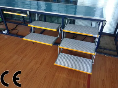 Es-F-T-600 Electric Folding Step for Truck and Camper with Ce