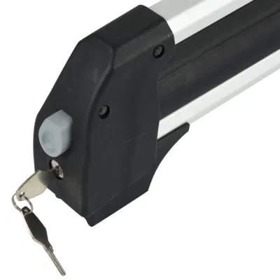China Wholesale 760mm Easy Release aluminio aleación de Ski Rack para 4 tablas de nieve
