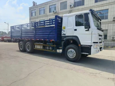 HOWO/Shacma 6X4 10 ruedas camión de acarce camión de camión con ruedas lleno Carro de carga de contenedor de pared lateral
