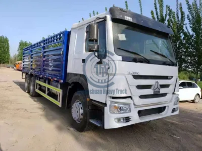 HOWO/Shacma 6X4 10 ruedas camión de acarce camión de camión con ruedas lleno Carro de carga de contenedor de pared lateral