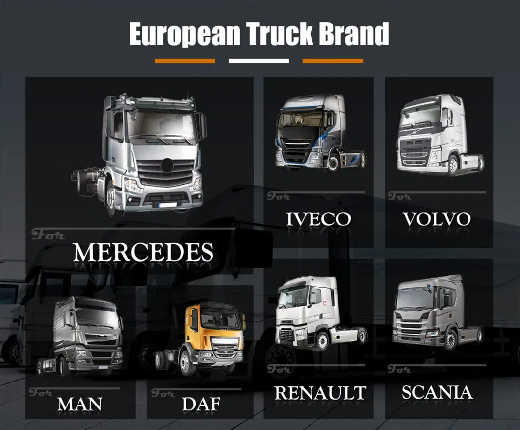 Europe, Japanese Auto Car Spare Truck Parts for Mercedes-Benz/Volvo/Man/Renault/Daf/Iveco/ Isuzu/ Mitsubishi/ Hino/Hyundai/Toyota Body/Sca/Brake/Nia Parts