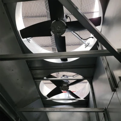 Condotto di manutenzione all&prime;interno del refrigeratore d&prime;acqua chiuso Torre di raffreddamento a flusso combinato