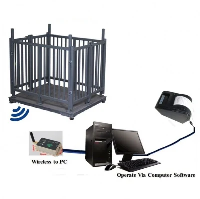  Cow Digital Livestock Platform pesata a cavallo per la bilancia di maiale Bilance elettroniche per pecore