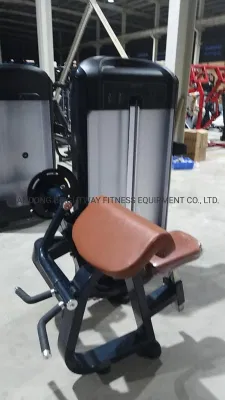 Te05/Tq05 Discovery Body Building Machine Gym Series Selectorised Arm Curl Attrezzature fitness