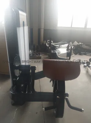 Te05/Tq05 Discovery Body Building Machine Gym Series Selectorised Arm Curl Attrezzature fitness
