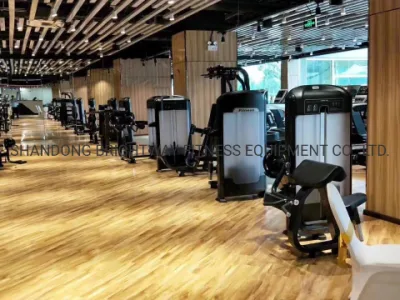 Attrezzatura fitness con estensione posteriore seduta all&prime;ingrosso Discovery Precor