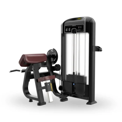 Te05/Tq05 Discovery Body Building Machine Gym Series Selectorised Arm Curl Attrezzature fitness