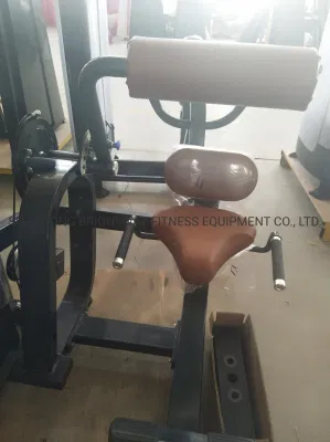 Attrezzatura fitness con estensione posteriore seduta all&prime;ingrosso Discovery Precor