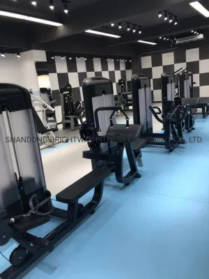Te05/Tq05 Discovery Body Building Machine Gym Series Selectorised Arm Curl Attrezzature fitness