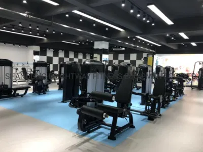 Te05/Tq05 Discovery Body Building Machine Gym Series Selectorised Arm Curl Attrezzature fitness