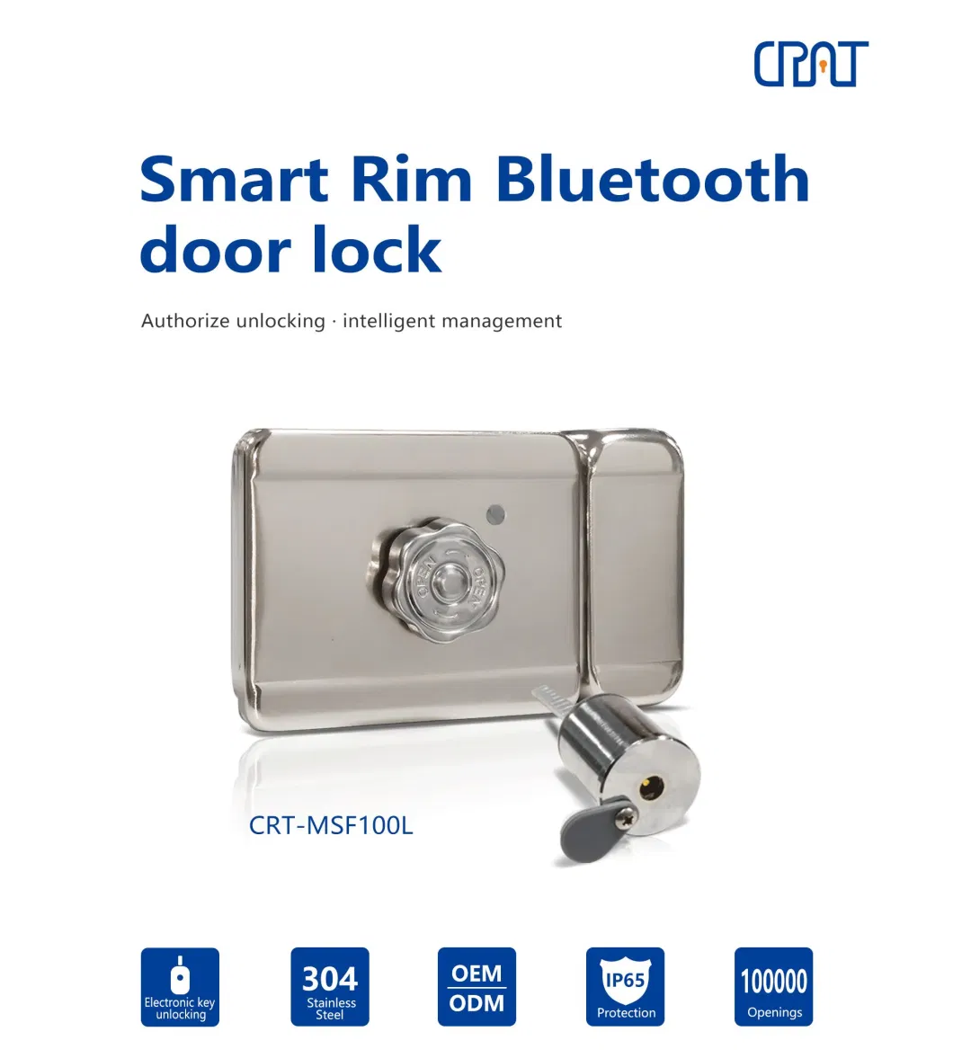 4G IoT Management Solution Intelligent Rim Deadbolt Rim Motor Lock Truck Electronic Control System Smart WiFi Rim Motor Lock with APP