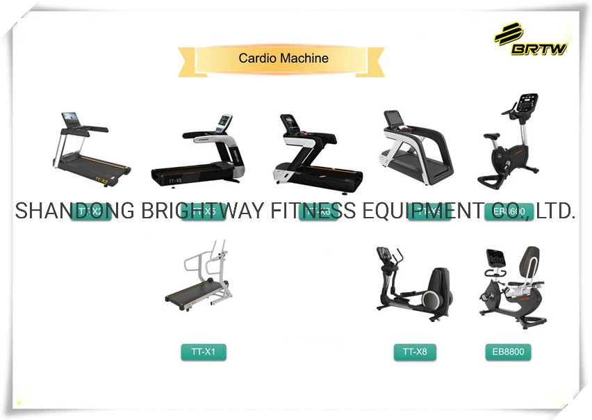 China Gym Supplier Discovery Series Selectorised Total Abdominal