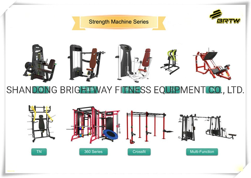 China Gym Supplier Discovery Series Selectorised Total Abdominal