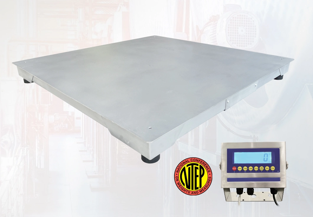 China Heavy Duty Stainless Steel Floor Scale Platform with Ntep Approaved