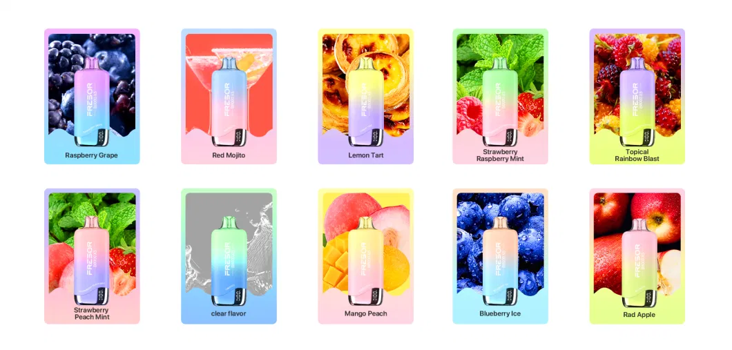 Top OEM Vape Factory Custom Order Disposable Vape 8000 Puffs Health Protection Avoid Burning Taste