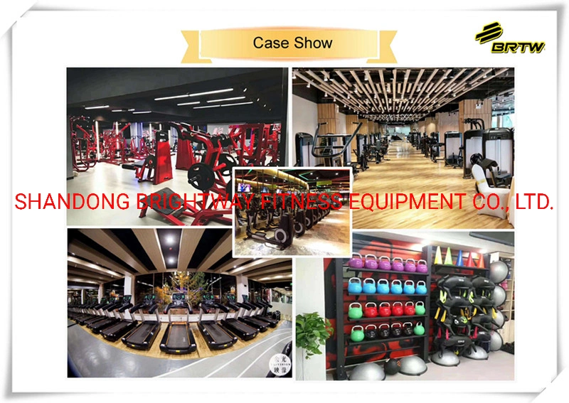 China Gym Supplier Discovery Series Selectorised Total Abdominal