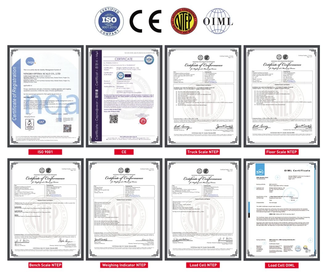 China Heavy Duty Stainless Steel Floor Scale Platform with Ntep Approaved