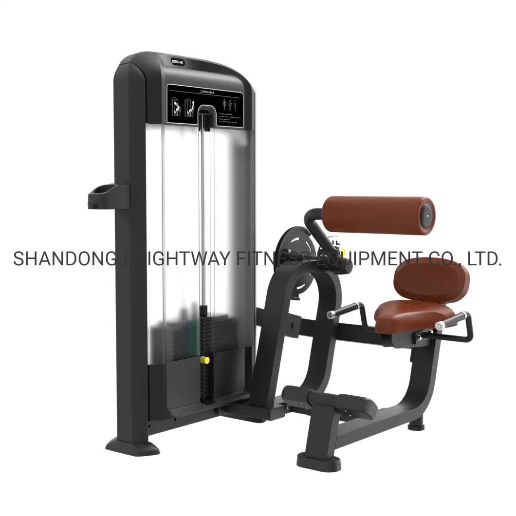 Wholesale Discovery Precor Seated Back Extension Gym Fitness Equipment