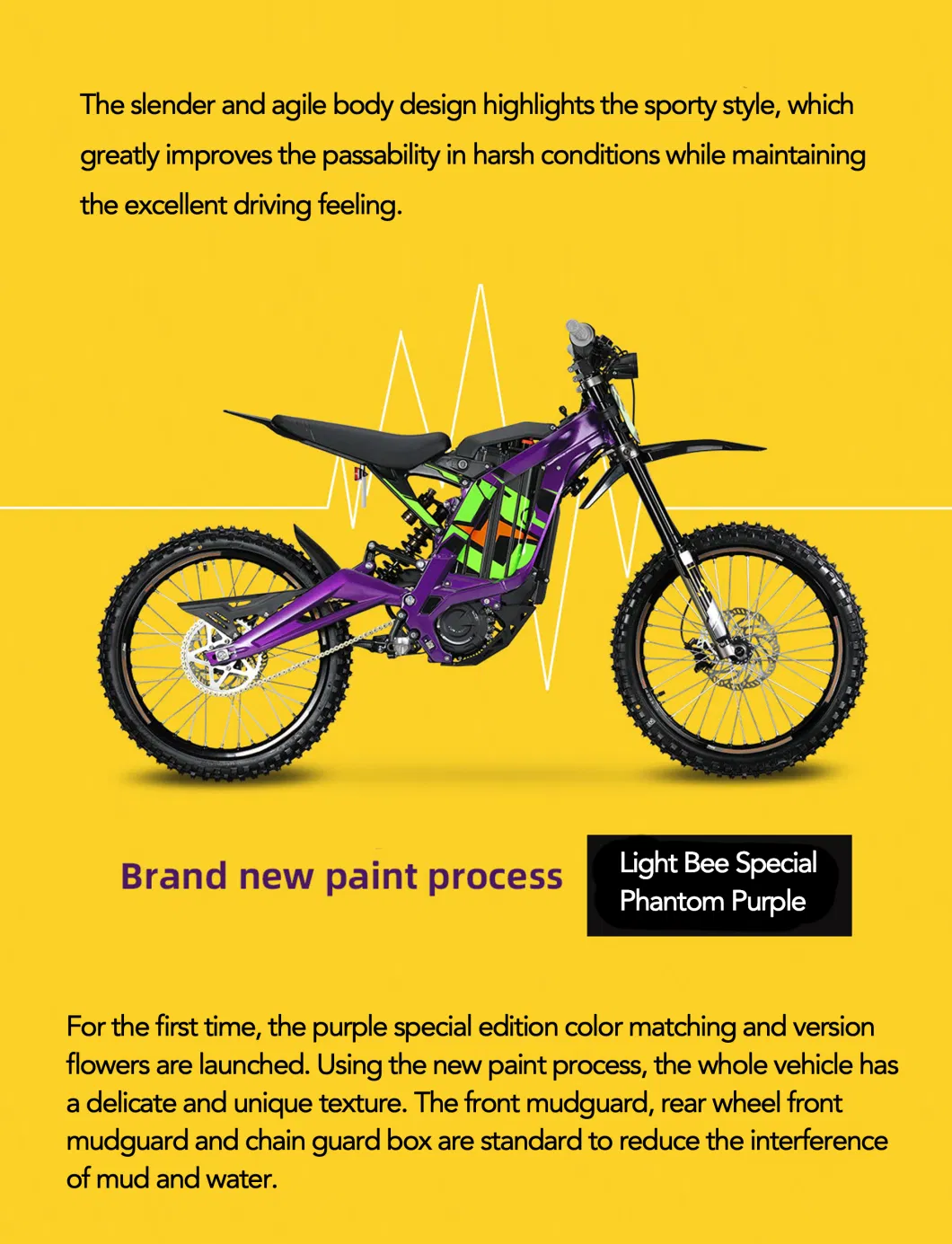 2023 Popular High Performance 6000W Offroad Ebike Surron Light Bee X