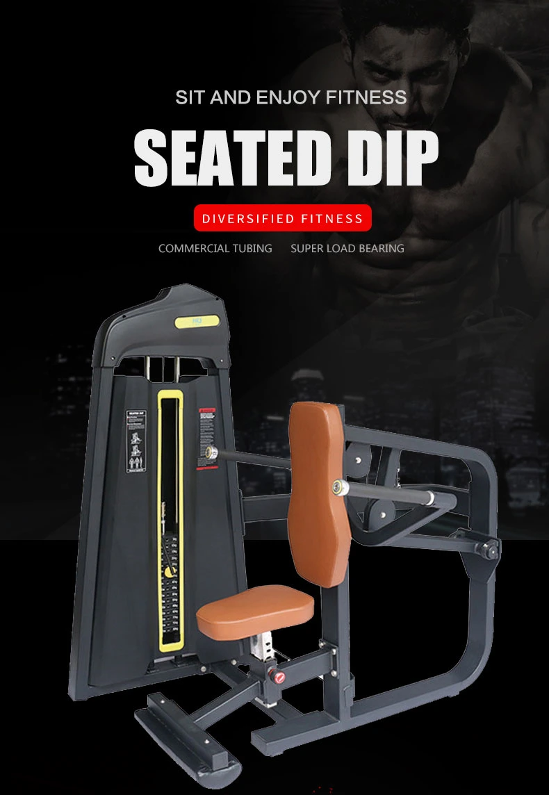 Multifunction Bodybuilding Fitness Equipment Discovery / Fitness Machine Seated DIP