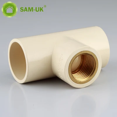 Factory Wholesale Custom Size Internal and External Thread Into Copper Pipe Plastic CPVC Pipes and Fittings