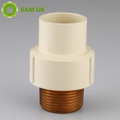Factory Wholesale Custom Size Internal and External Thread Into Copper Pipe Plastic CPVC Pipes and Fittings