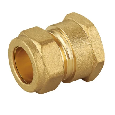 Brass Forged Male Female Thread Reduce Compression Coupling Stright Union