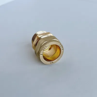 Factory Direct Brass Compression Male Straight Connectors Thread Coupling Fitting for Copper Pipe High Quality Lowest Price