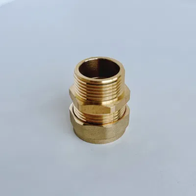 Factory Direct Brass Compression Male Straight Connectors Thread Coupling Fitting for Copper Pipe High Quality Lowest Price