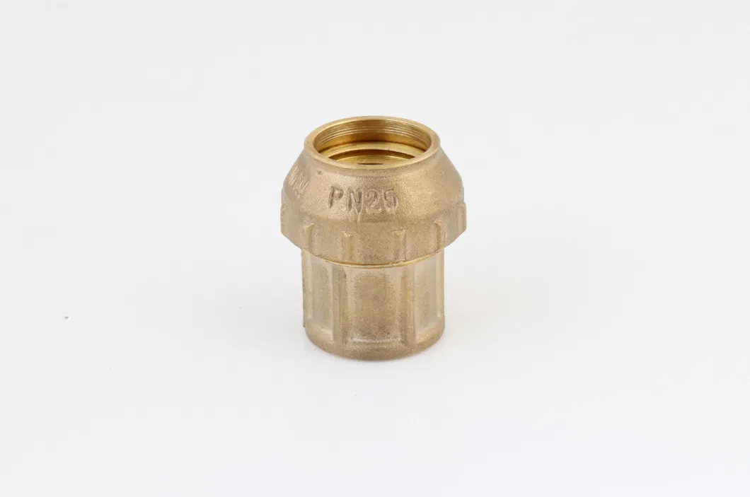 PE Compression Straight Couplings with Rubber Oring Brass Orings Inside