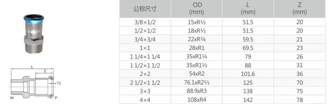 Stainless External Thread Coupling Steel Equal Press Fit Fittings Pipe Carbon Steel