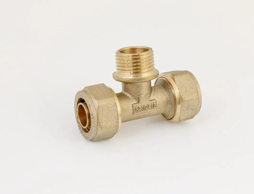 Brass Pex Fitting for PE Pipe and Pex-Al-Pex Pipe/Brass Coupling/Nipple