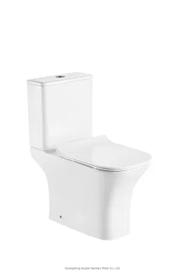 Suelo de pie WC dos piezas WC armario de la pareja WC sanitario Utensilios sin borde redondo pequeño tamaño montado en pared WC conjunto Accesorios de baño