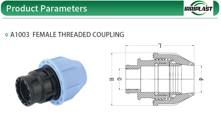 High Quality PP Fitting HDPE Compression Female Threaded Fitting