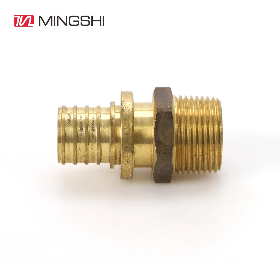 Mingshi OEM Brass Pex Fitting Male Straight for Water System with Watermark Certificates