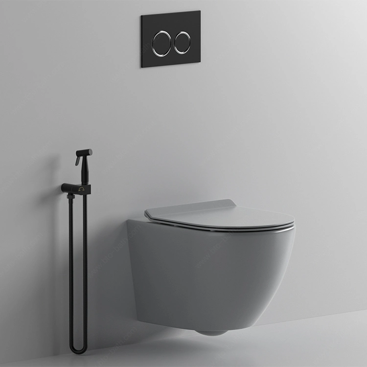 Wall Hung Ceramic Modern Design Toilet Seat Dual Flush Toilet