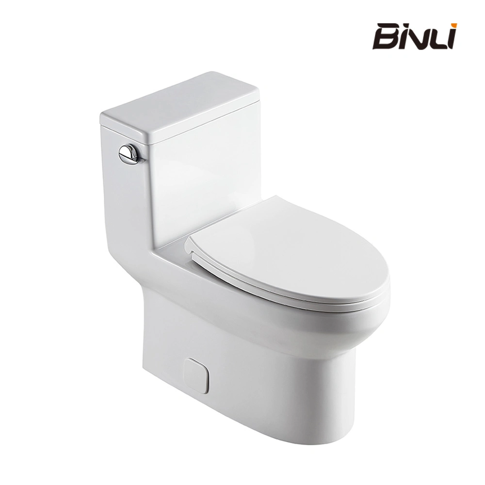 American Standard Floor Mounted Toilet Pan for Wall Cistern