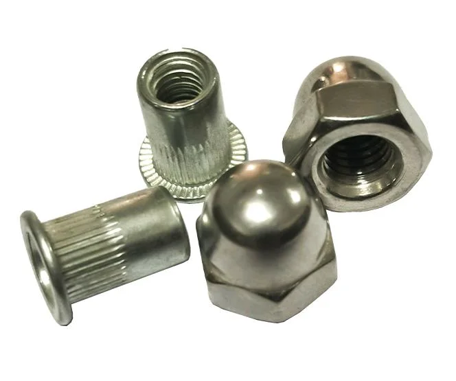 Customized Stainless Steel Brass Threaded Expansion Nut M3-M100