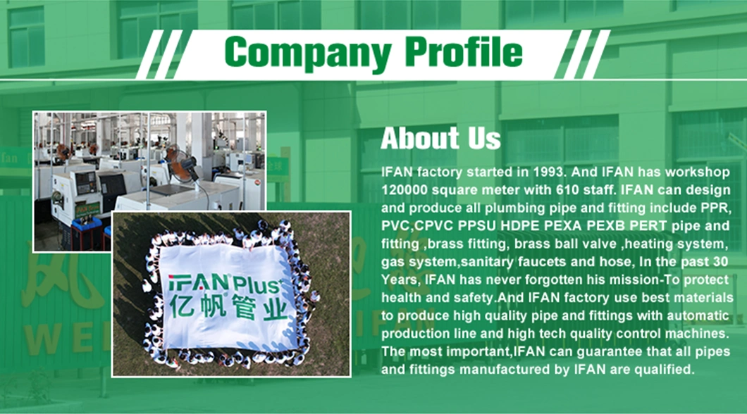 Ifan Factory Supply Plumbing Plastic Pipe Fittings PPSU Fittings Pex Slid Fitting