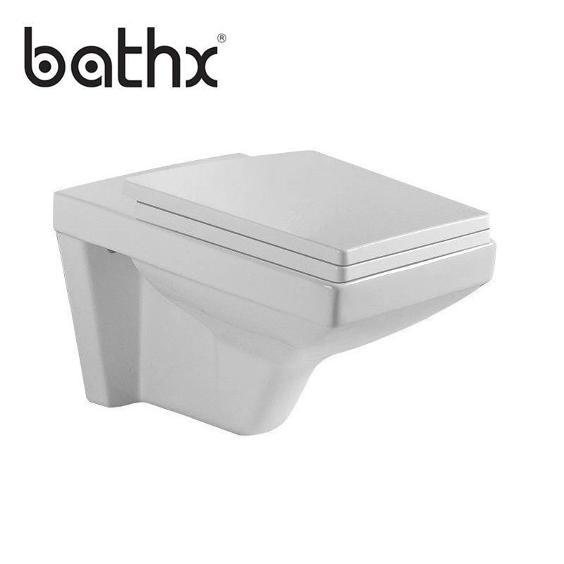 2018 New Arrival One Piece Sanitary Ware Bathroom Wc and Accessories for Wall Hung Toilet (PL-7719)