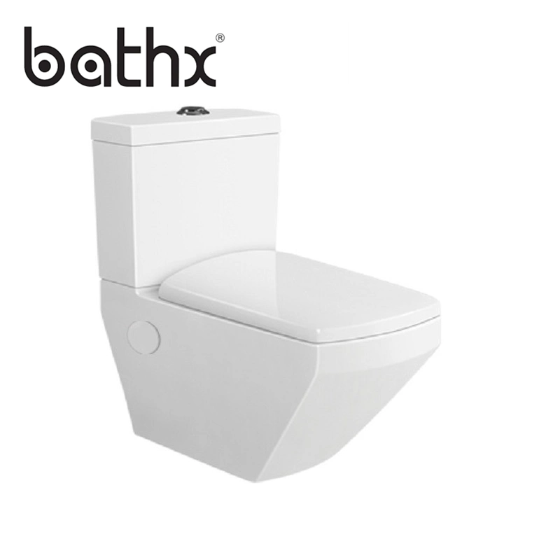 2018 New Arrival Sanitary Ware Bathroom Wc and Accessories for Toilet Tank (PL-7704)